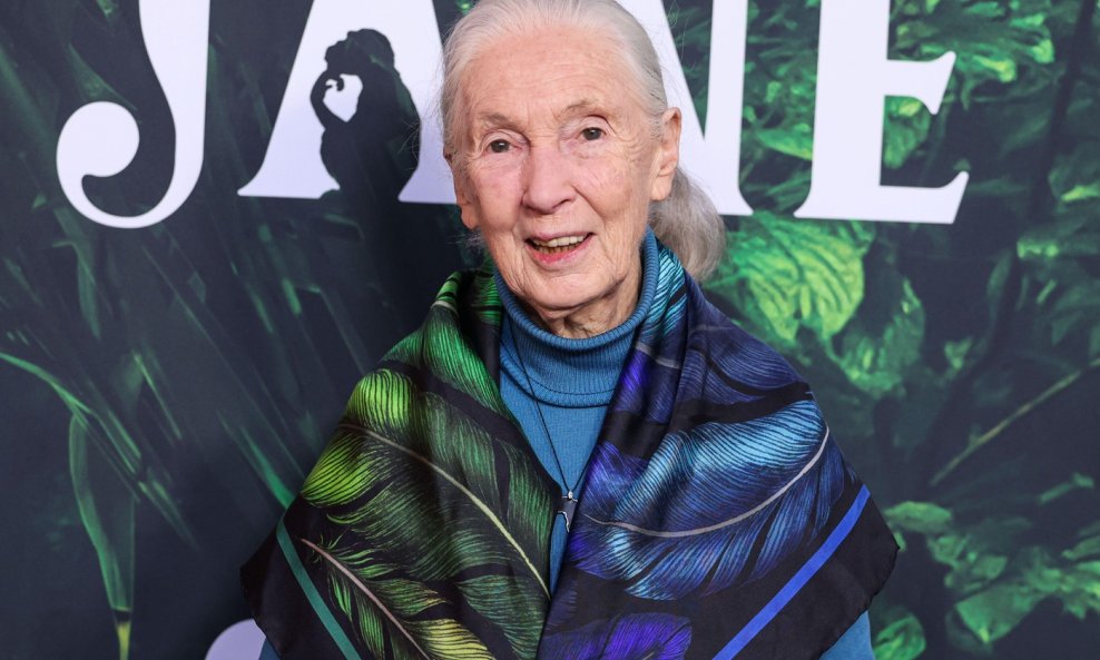 Jane Goodall