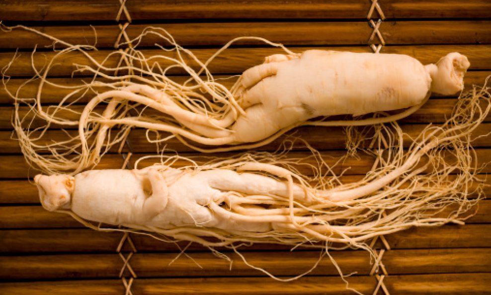 ginseng