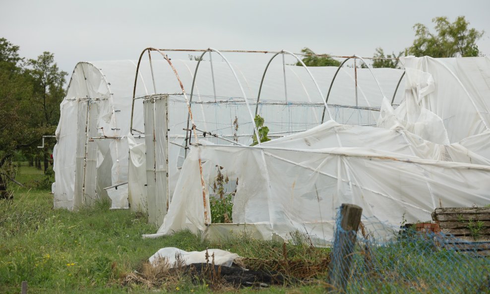 Prirodne nepogode izazvale su veliku štetu u poljoprivredi (ilustracija)