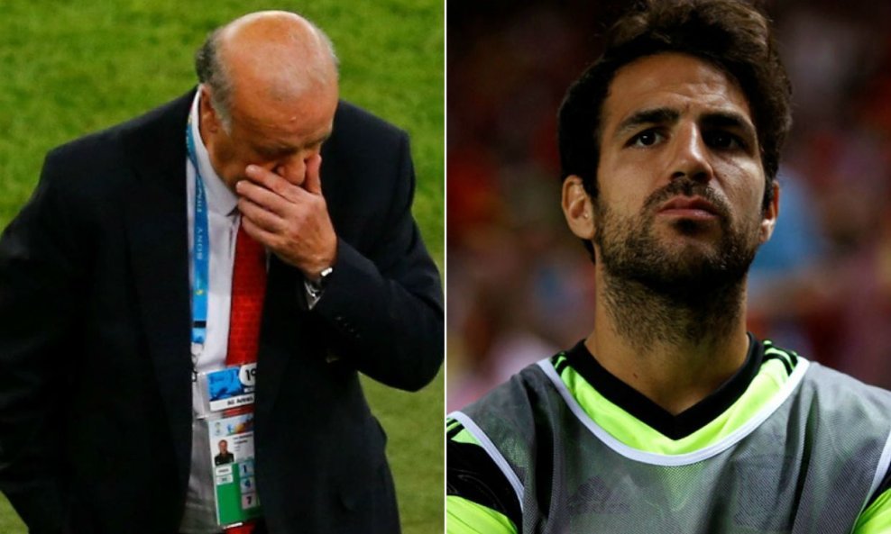 Del Bosque i Fabregas