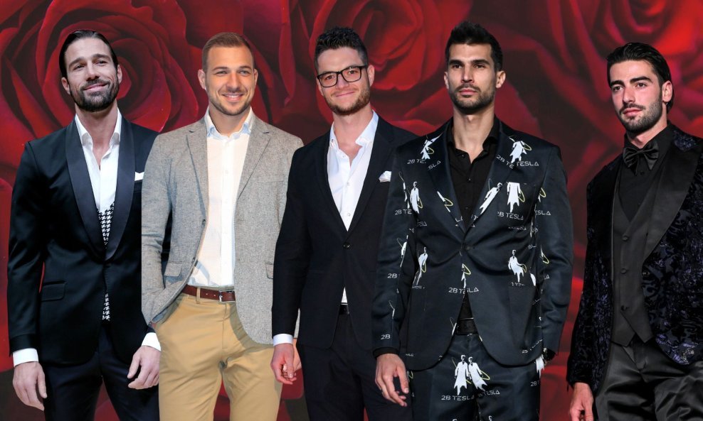 Natjecatelji showa 'Gospodin Savršeni'