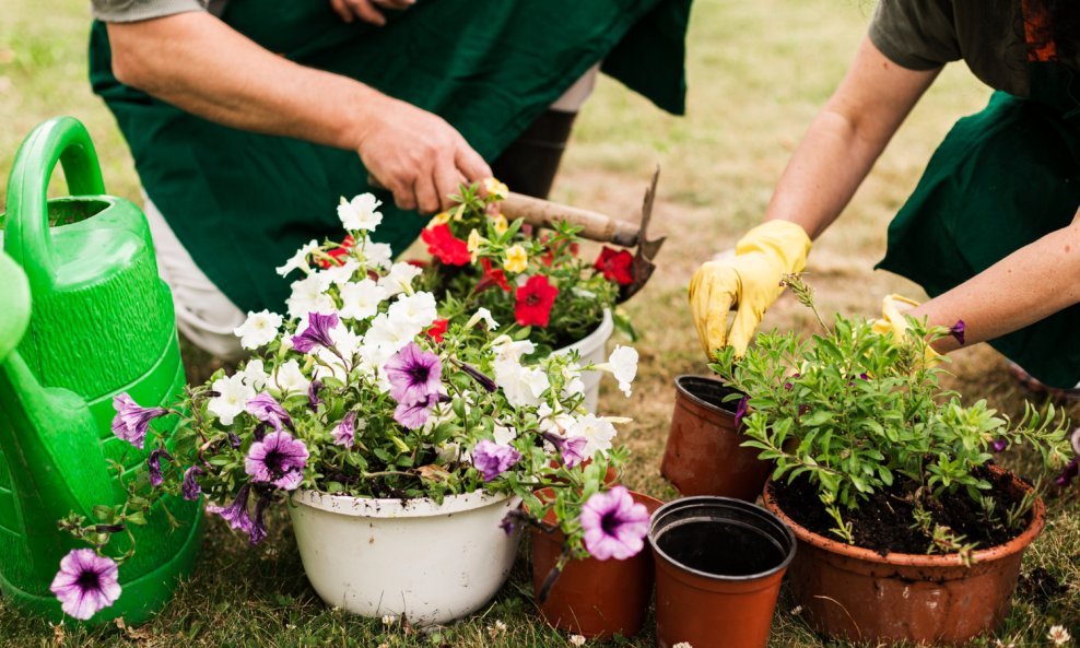 Veljača označava novi početak radova u vrtu