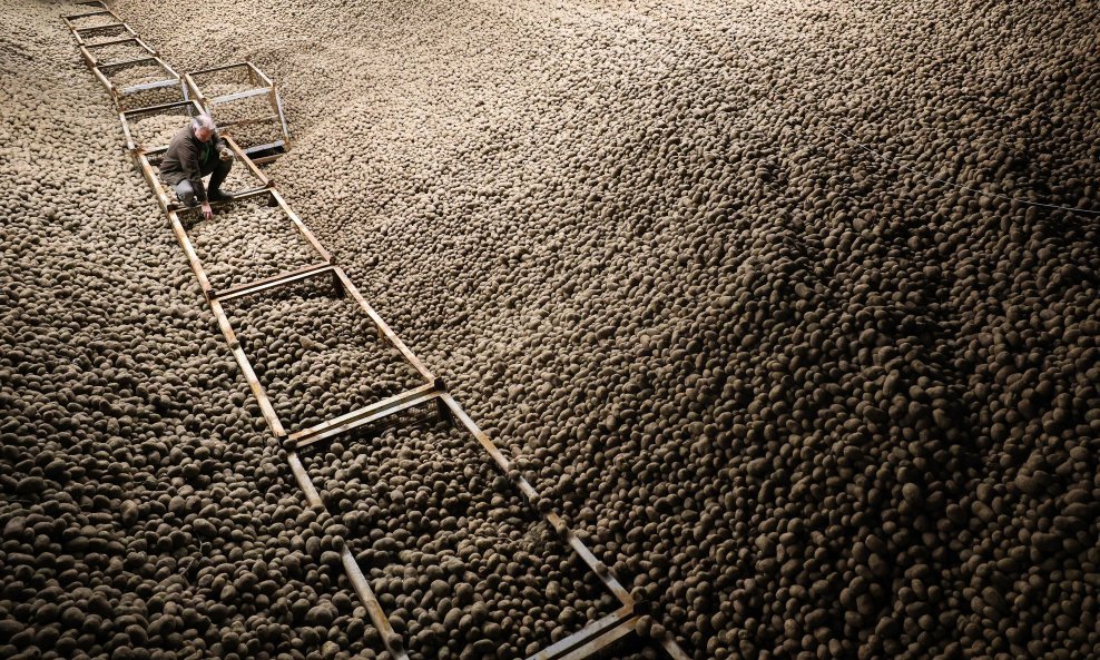 Višak krumpira u Njemačkoj