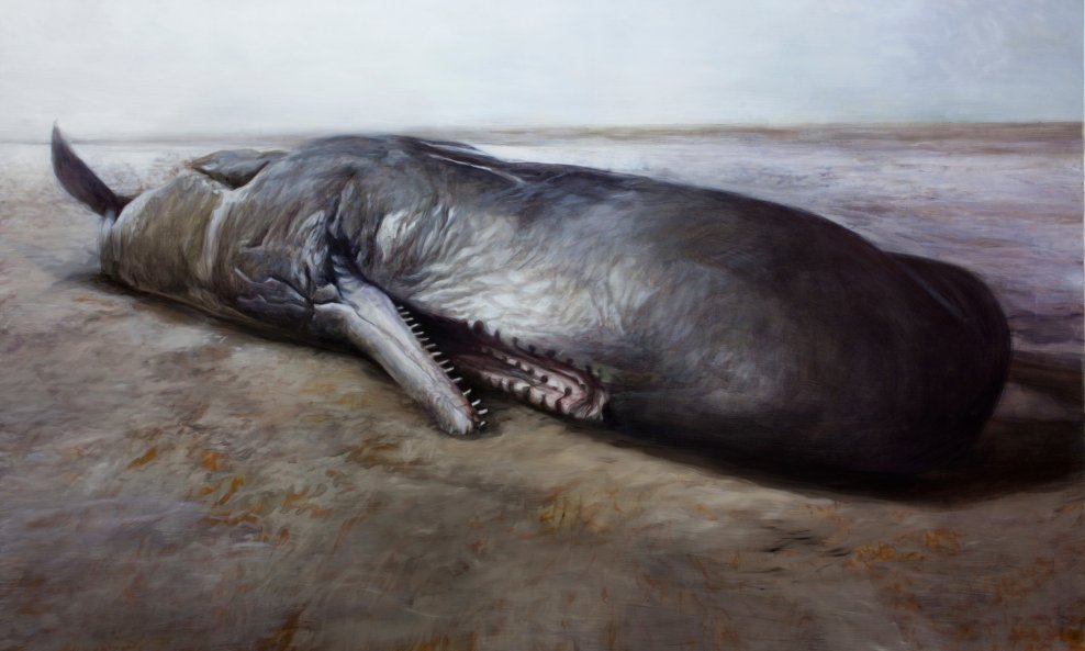 Zlatan Vehabović, Leviathan