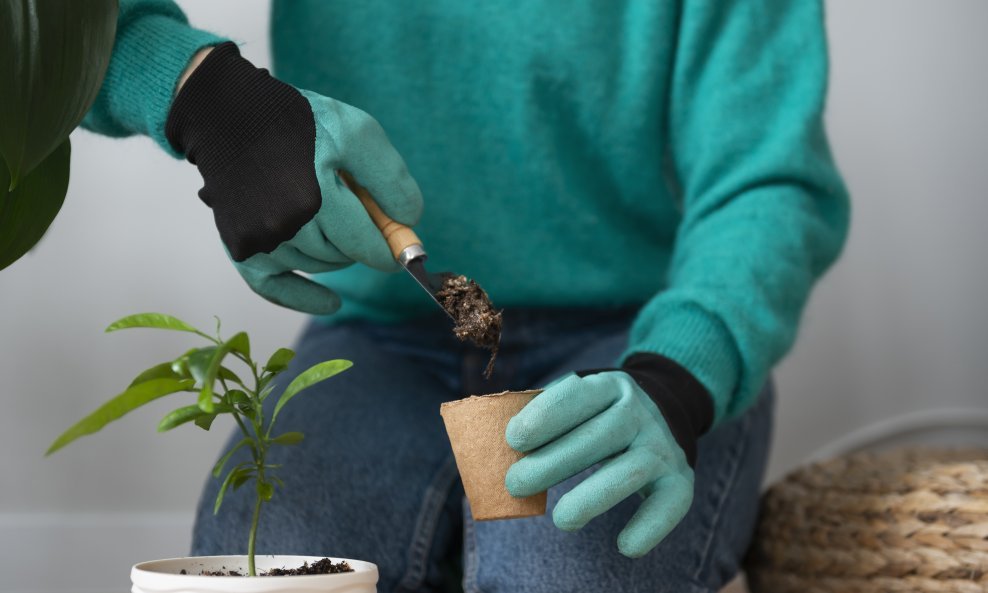 Presađivanje biljaka