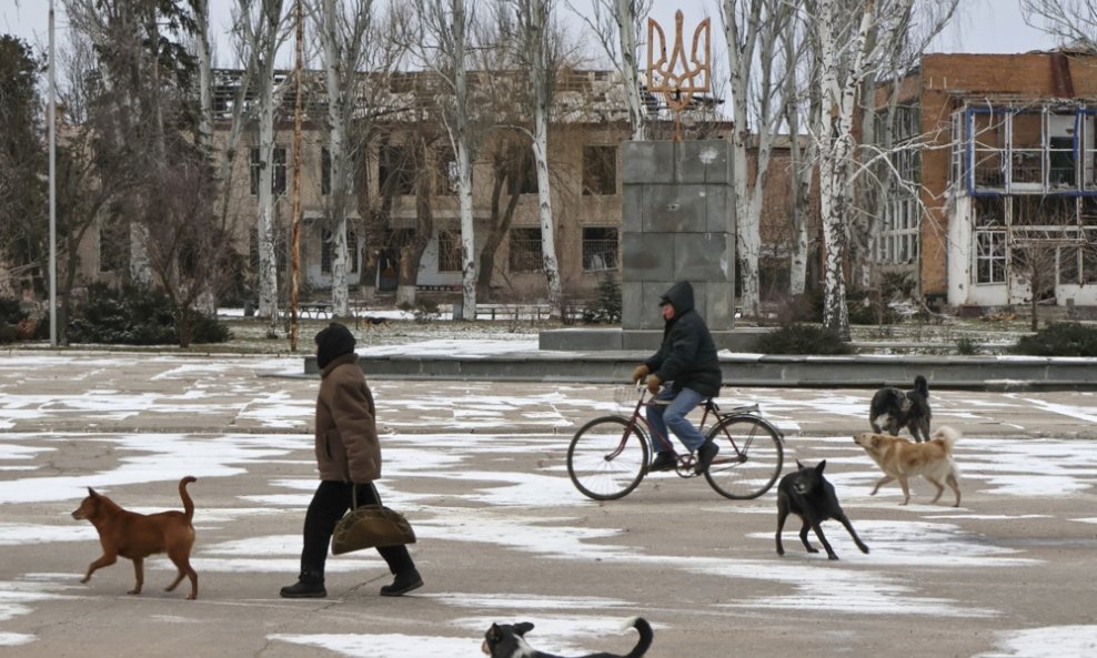 Rat u Ukrajini doveo je do povećanja broja pasa lutalica - ilustracija