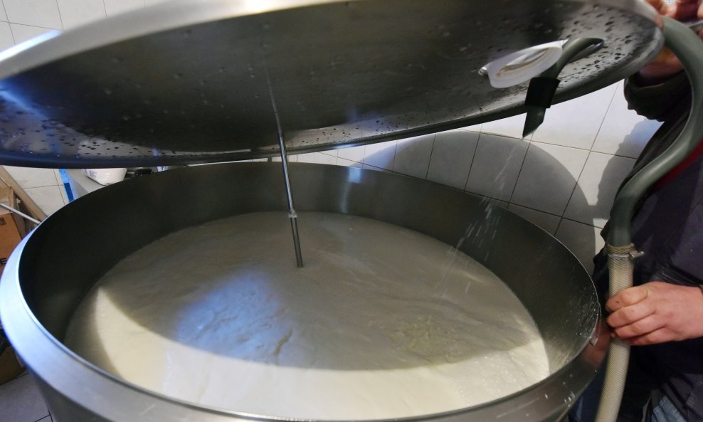 Proizvodnja mlijeka - Ilustracija