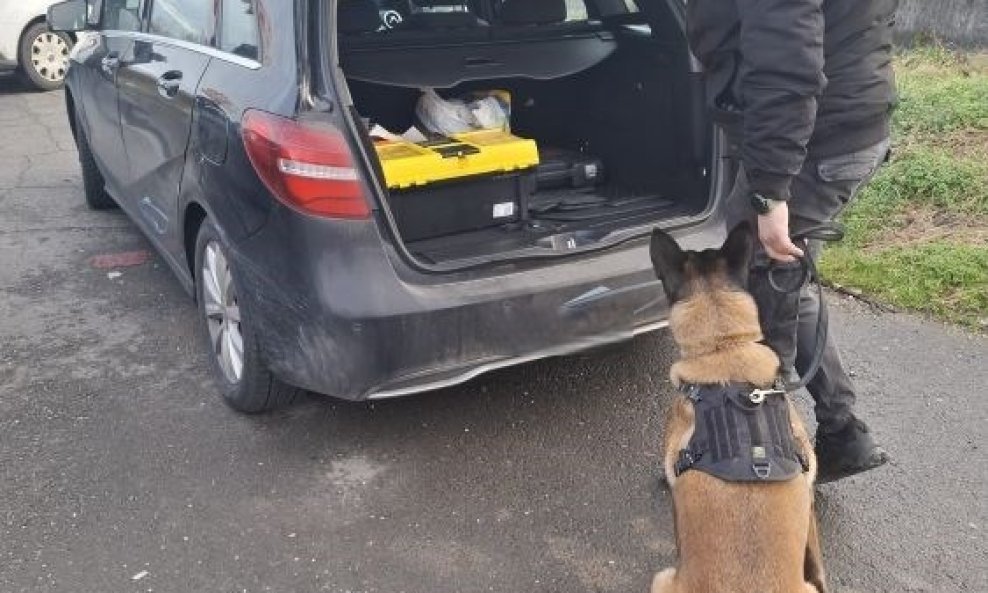 Rea nanjušila drogu