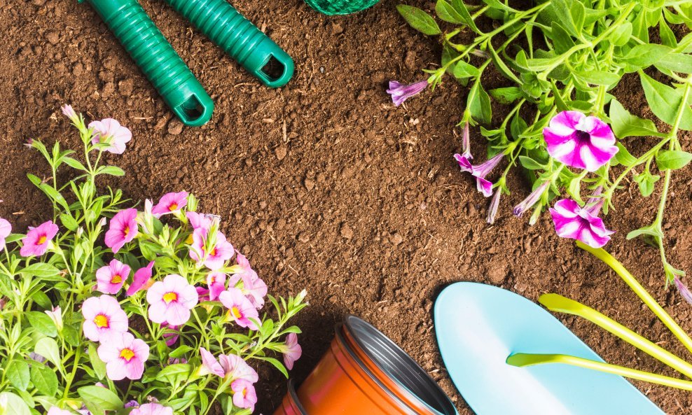 Veljača je ključni mjesec za sadnju cvijeća