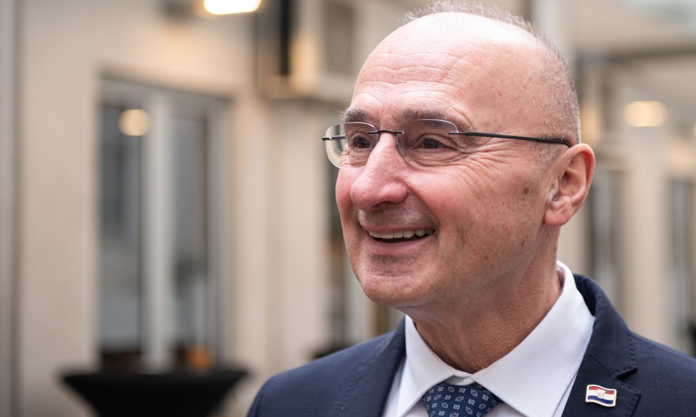 Gordan Grlić Radman