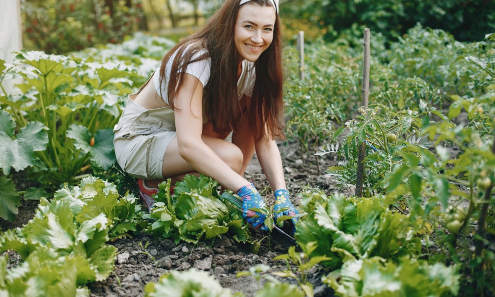 Ožujak je idealno doba za sadnju otpornog povrća