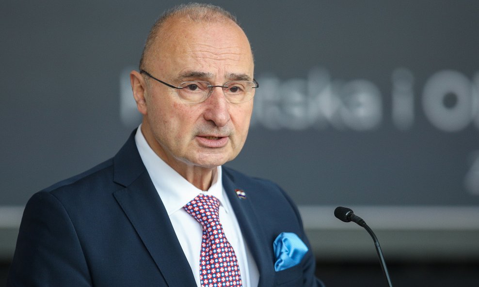 Gordan Grlić Radman