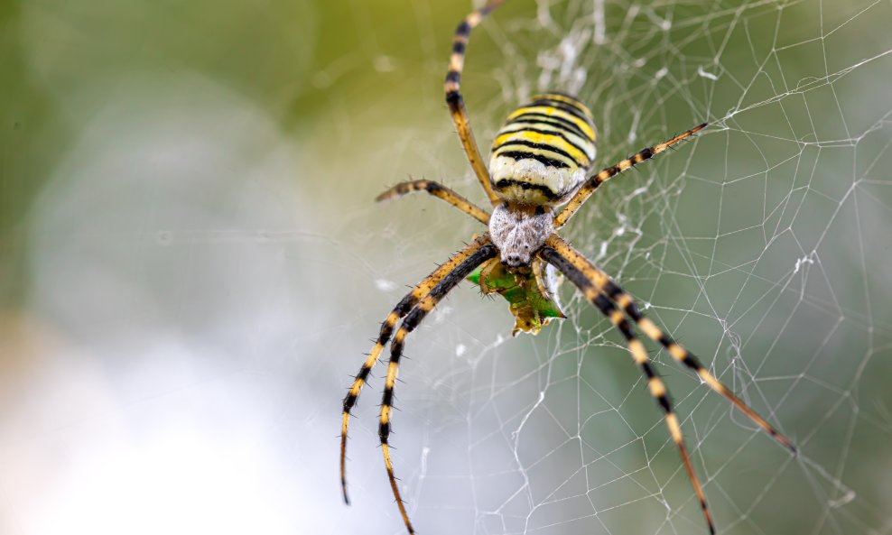 Ilustrativna fotografija