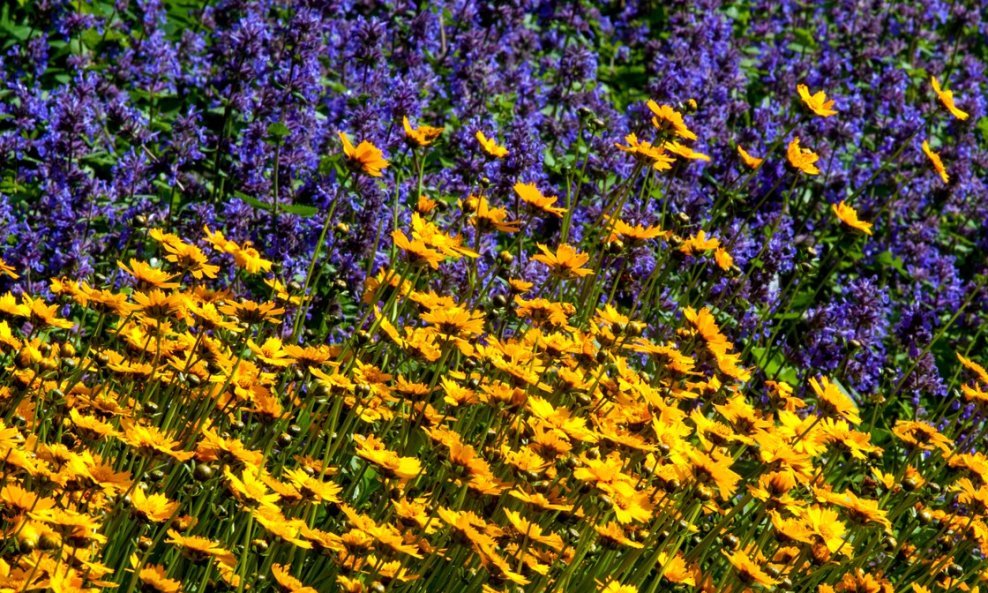 Vrt pun boja moguće je imati i tijekom ranijeg proljeća