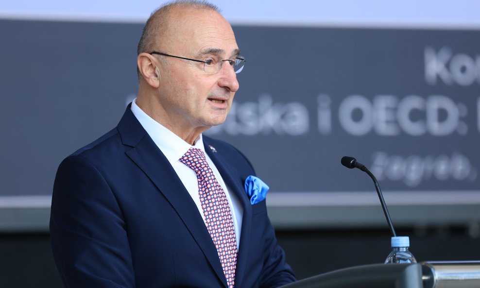 Gordan Grlić Radman