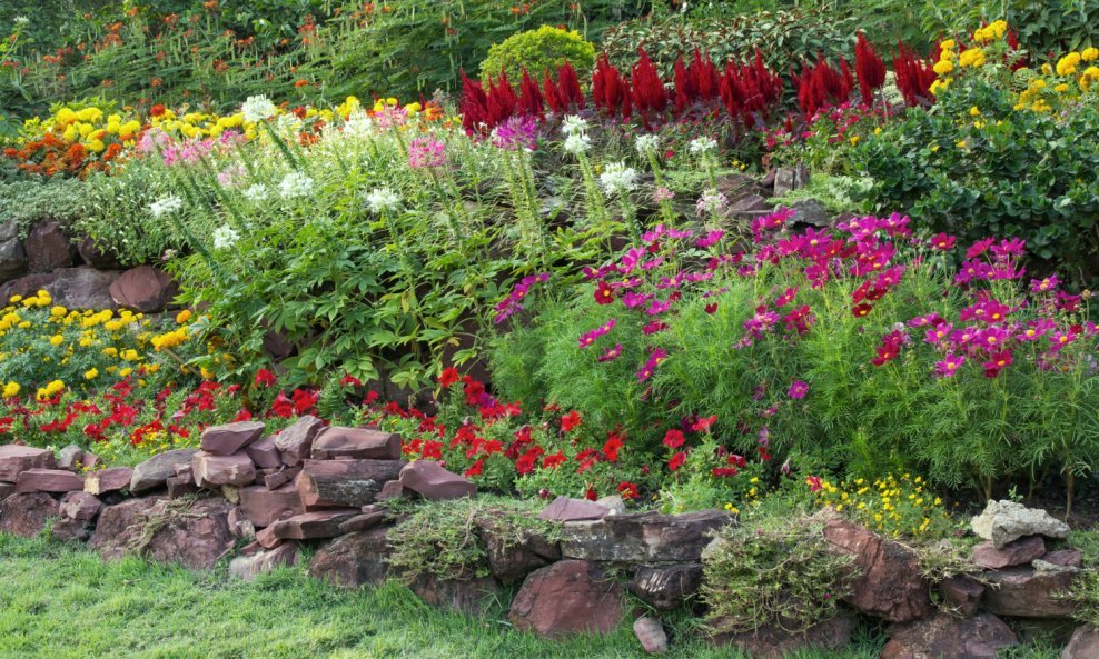 Vrt izgleda luksuznije kada se cvijeće sadi po visini