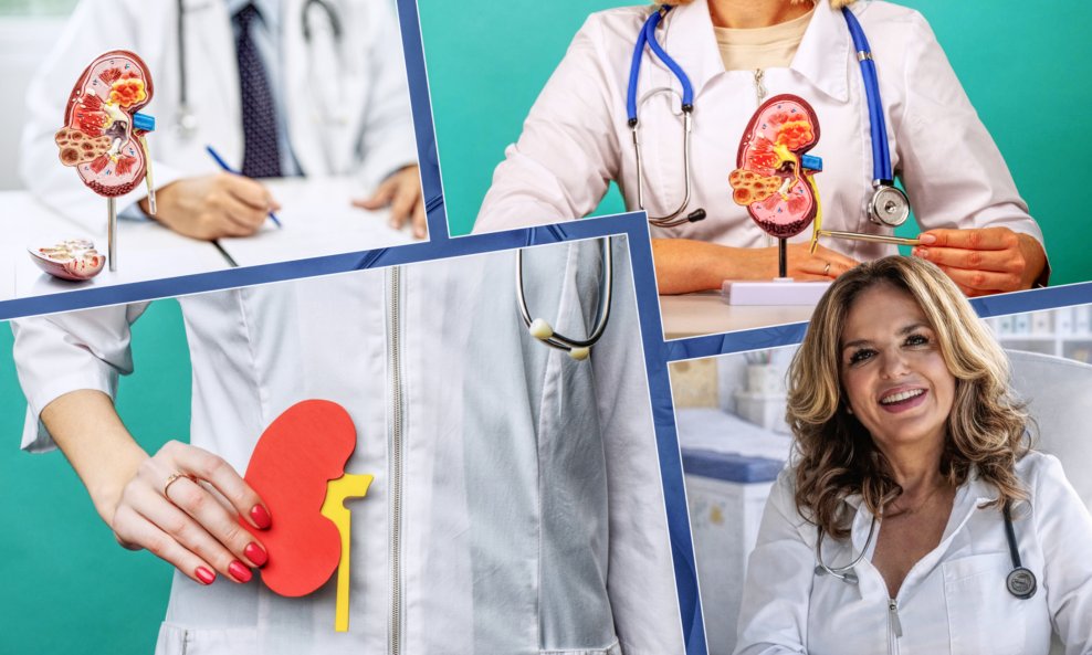 Prof. Andrea Cvitković Roić