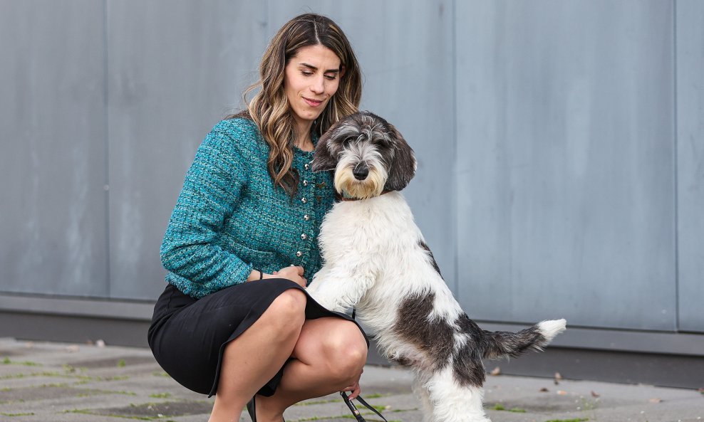 Međunarodna izložba pasa