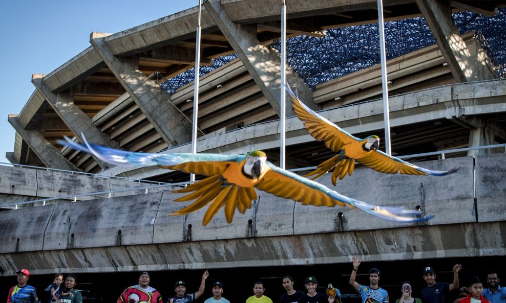 Jedan od posljednjih događaj na stadionu Shah Alam bila je svjetska izložba papiga 2023.