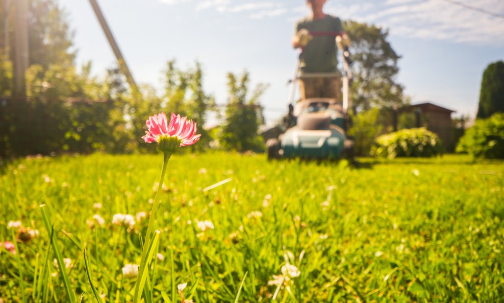 Mnogi vlasnici vrtova bore se s istim problemom: mahovina, korov i prorijeđena trava koja djeluje umorno i zbijeno