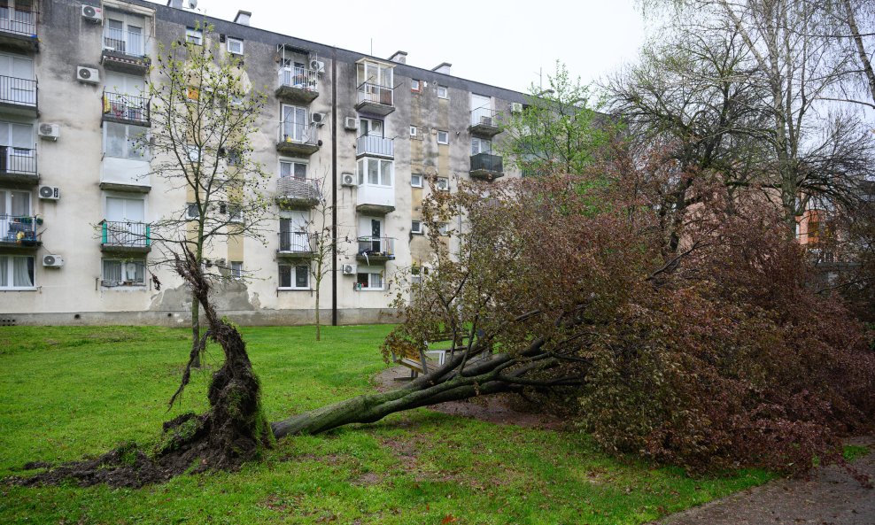 Olujni vjetar u Španskom