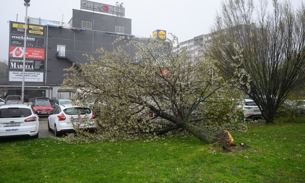 Zagreb: Olujni vjetar poharao Špansko, dignuti krovovi i isčupana stabla