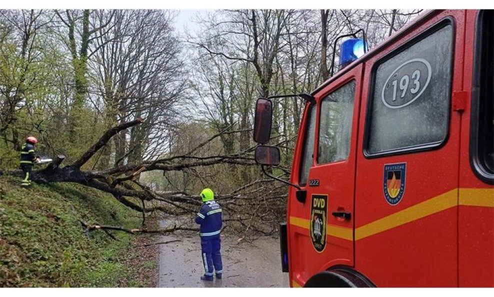 DVD Domaji intervencija