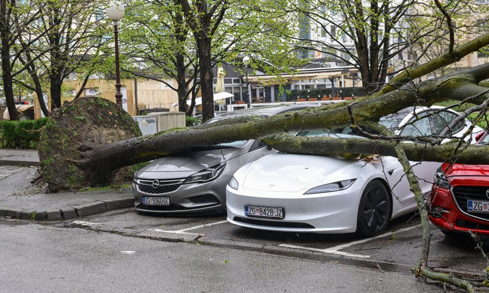 Zagreb: Olujni vjetar iščupao stablo u Ulici Bartola Kašića koje je palo na parkirane automobile