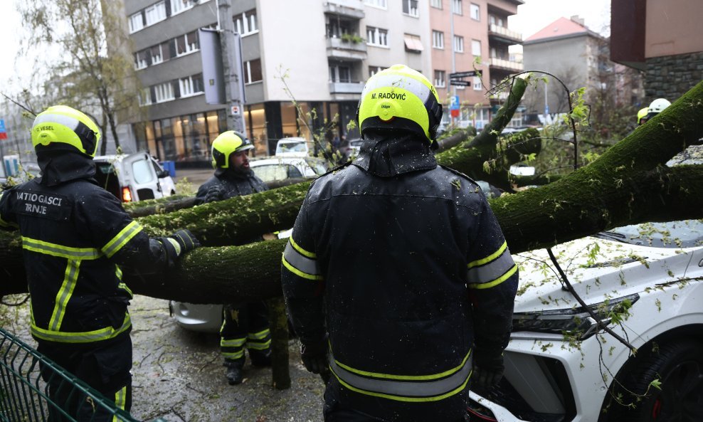 Najviše intervencija vatrogasci su imali zbog srušenih stabala