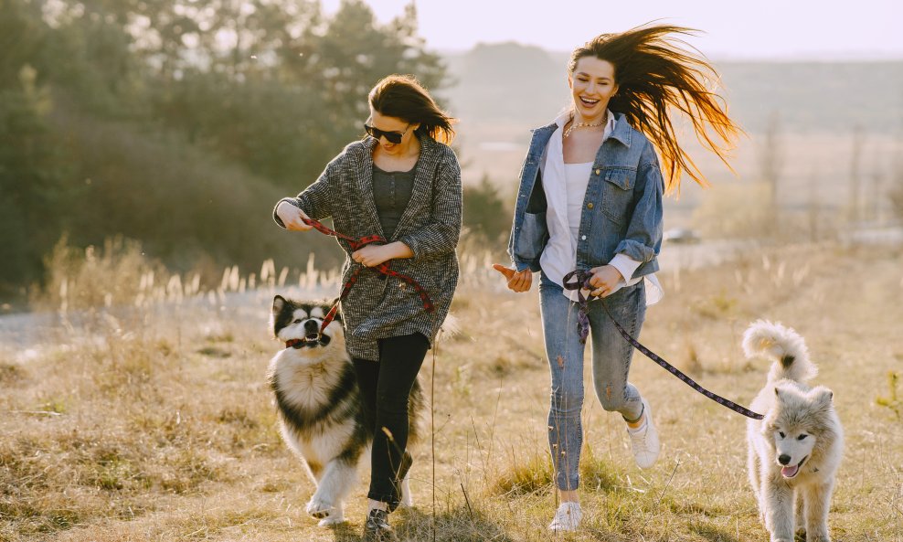 Psi imaju i iznimno pozitivan utjecaj na naše mentalno blagostanje
