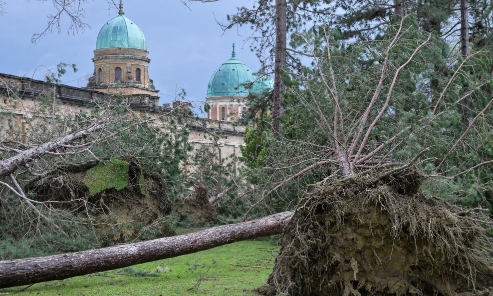 Mirogoj nakon nevremena