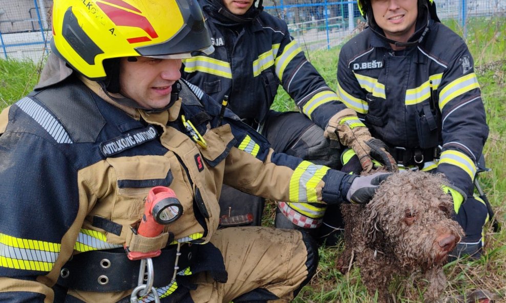 Vatrogasci su nakon nevremena u Zagrebu spasili i jednog psa