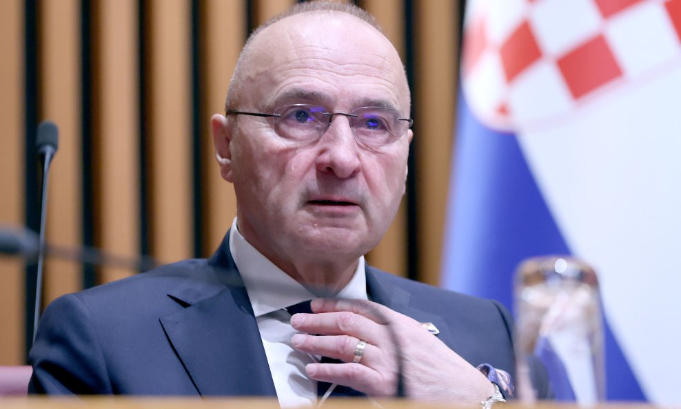 Gordan Grlić Radman