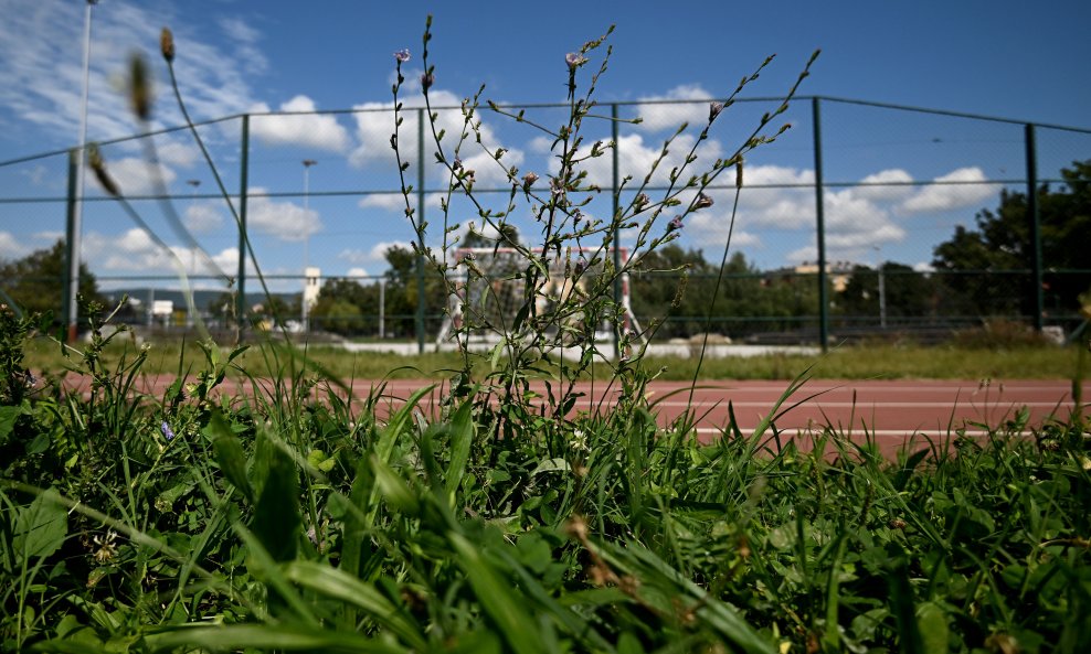 Košnja trave, ilustracija