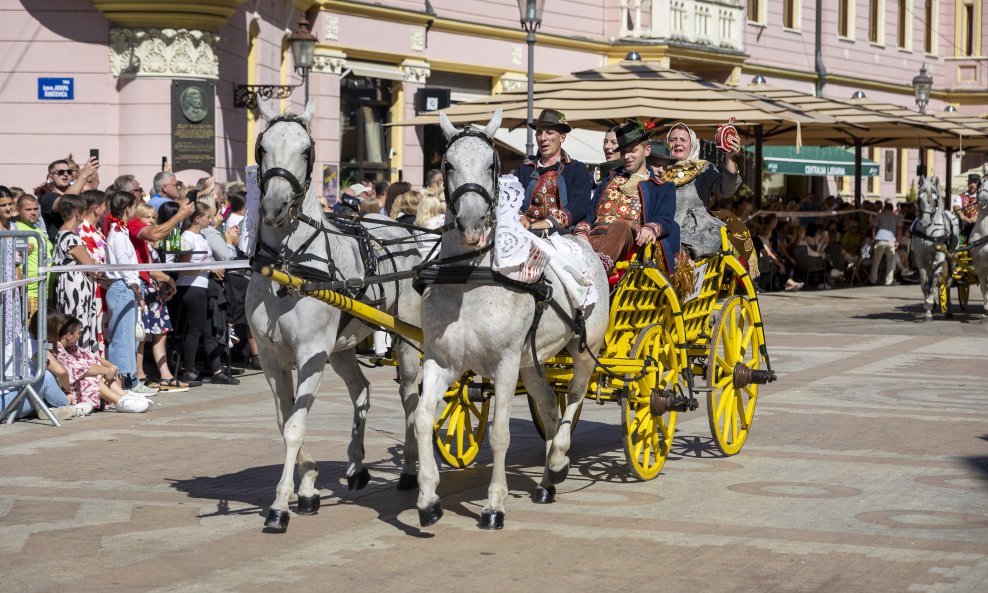 Vinkovci (ilustracija)