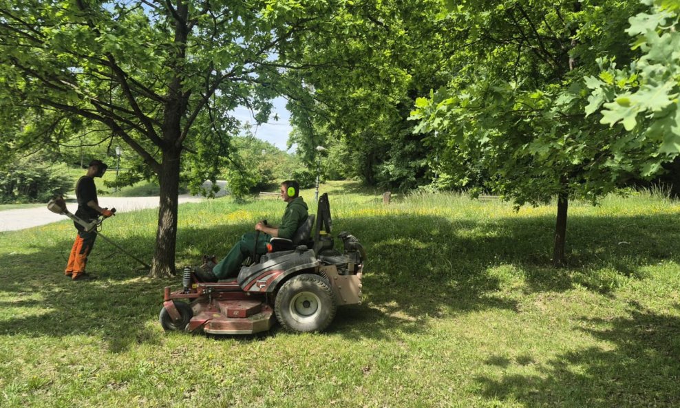 Pripremni radovi uklanjanja oštećenih stabala u Maksimiru