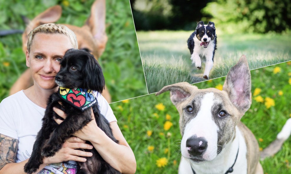 Tatjana Zajec navela je da su se europski veterinari godinama borili za obavezno čipiranje mačaka i pasa na razini EU-a