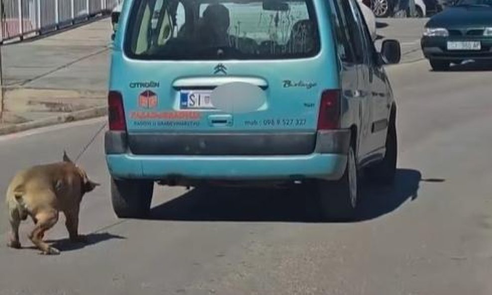 Muškarac u Šibeniku vuče psa
