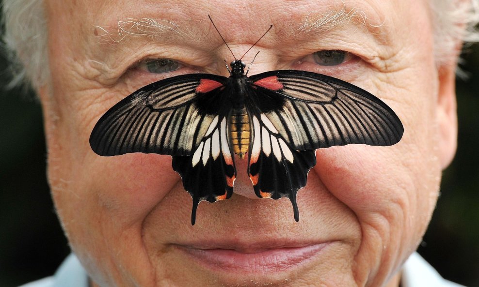 David Attenborough