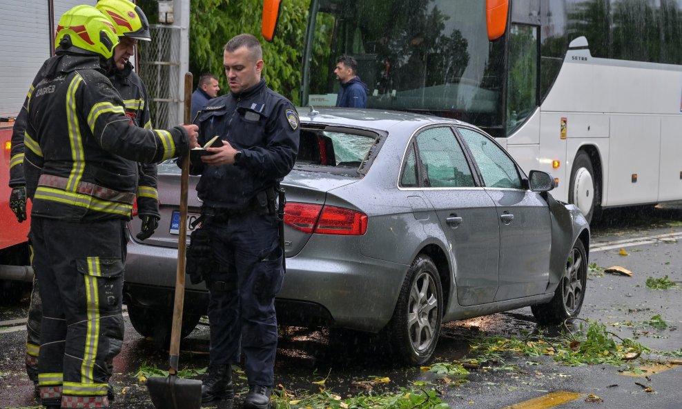 Zagreb: Palo stablo na Maksimirskoj, blokiran promet, vatrogasci na terenu