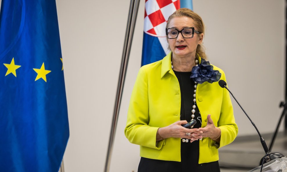 Višnja Ljubičić