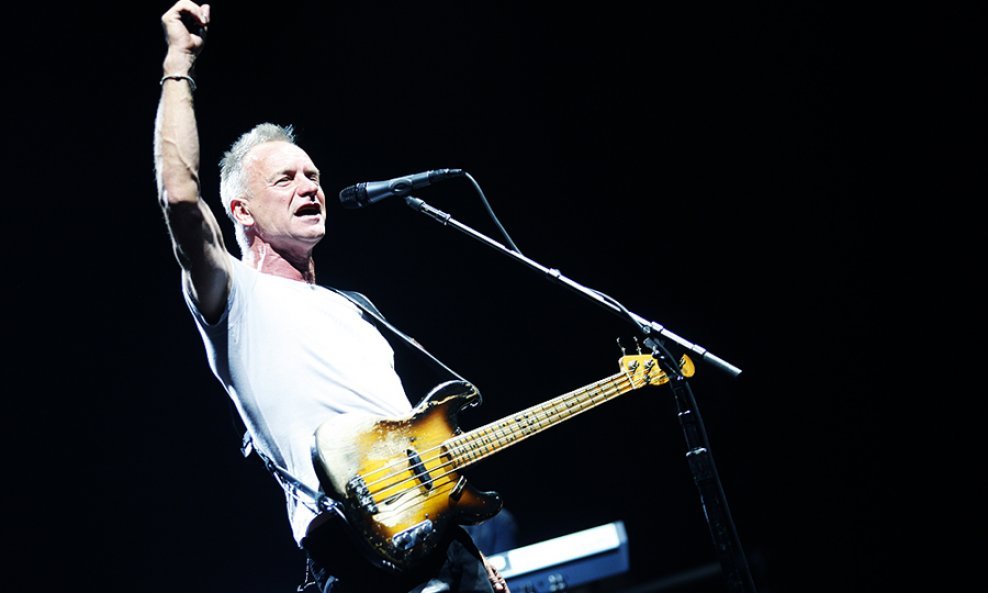 Sting (1)