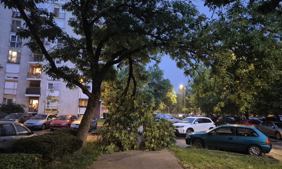 Jak vjetar ruši stabla u Zagrebu