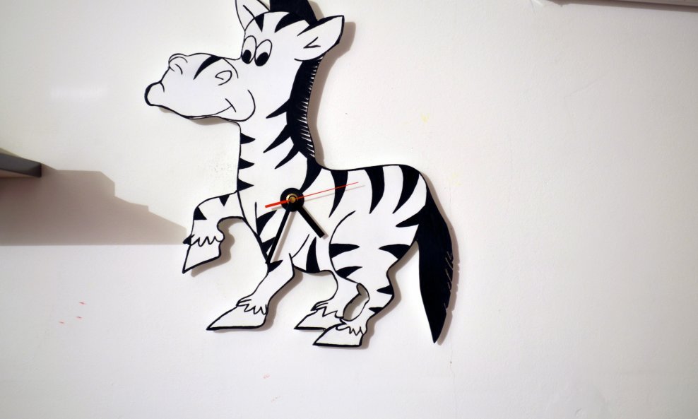 sat zebra