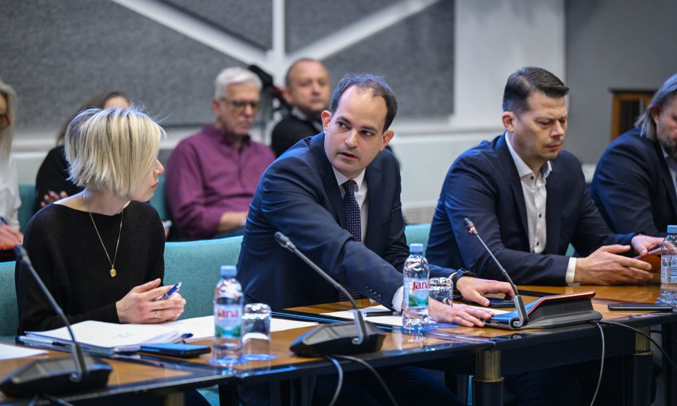 Predsjednik Odbora za Ustav Ivan Malenica