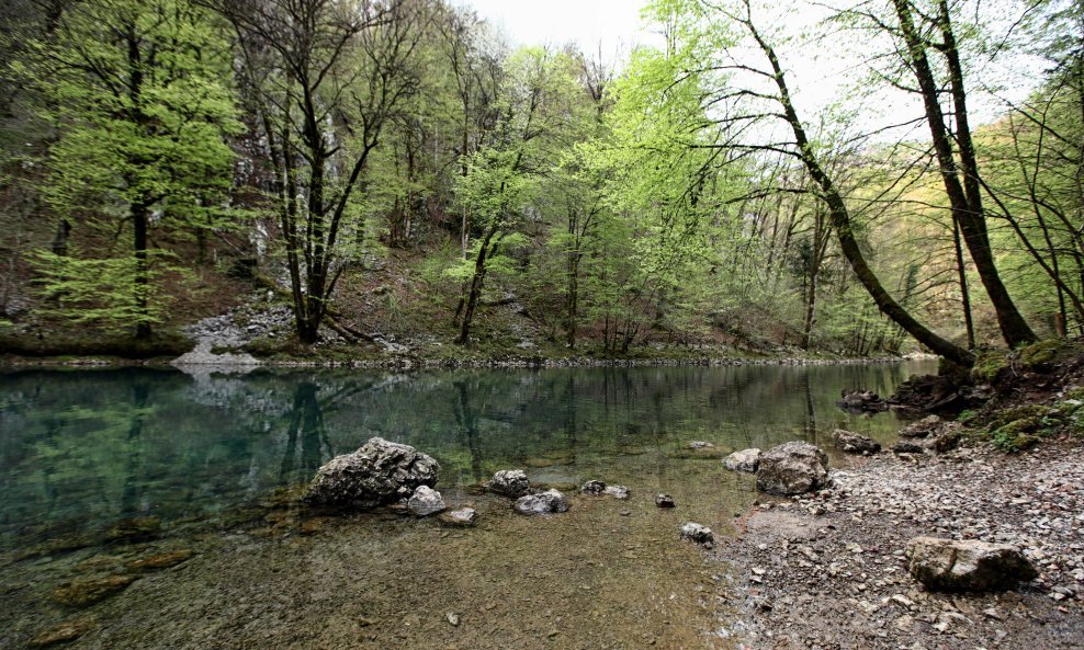 Izvor rijeke Kupe