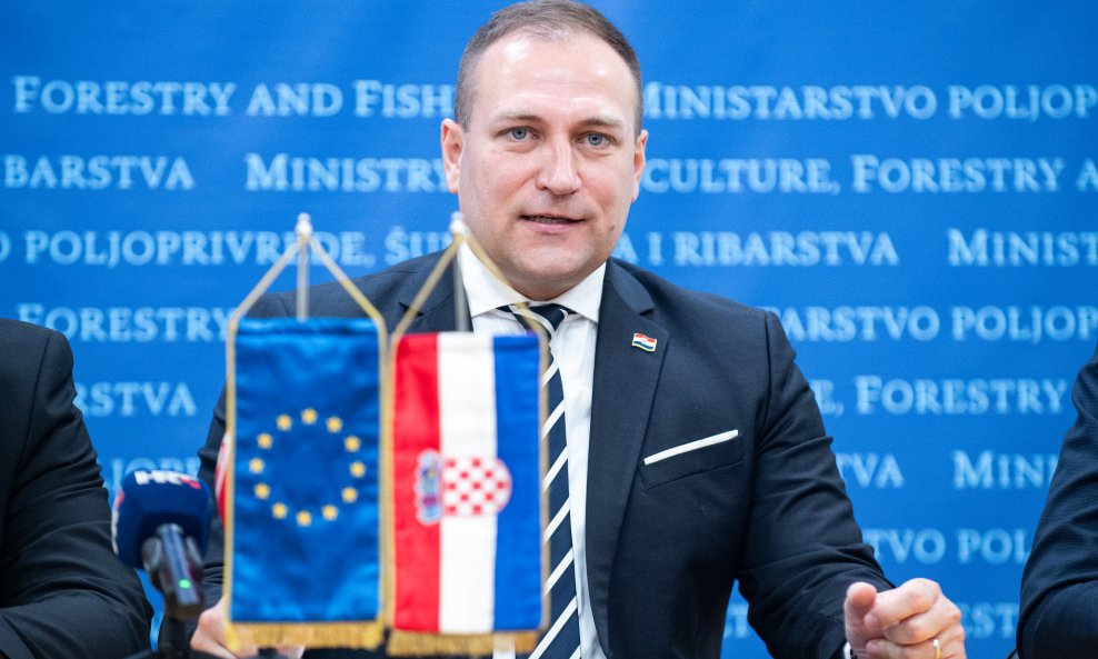 David Vlajčić