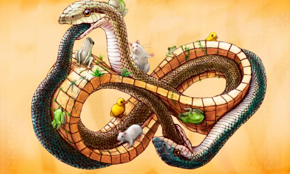 kineski horoskop zmija