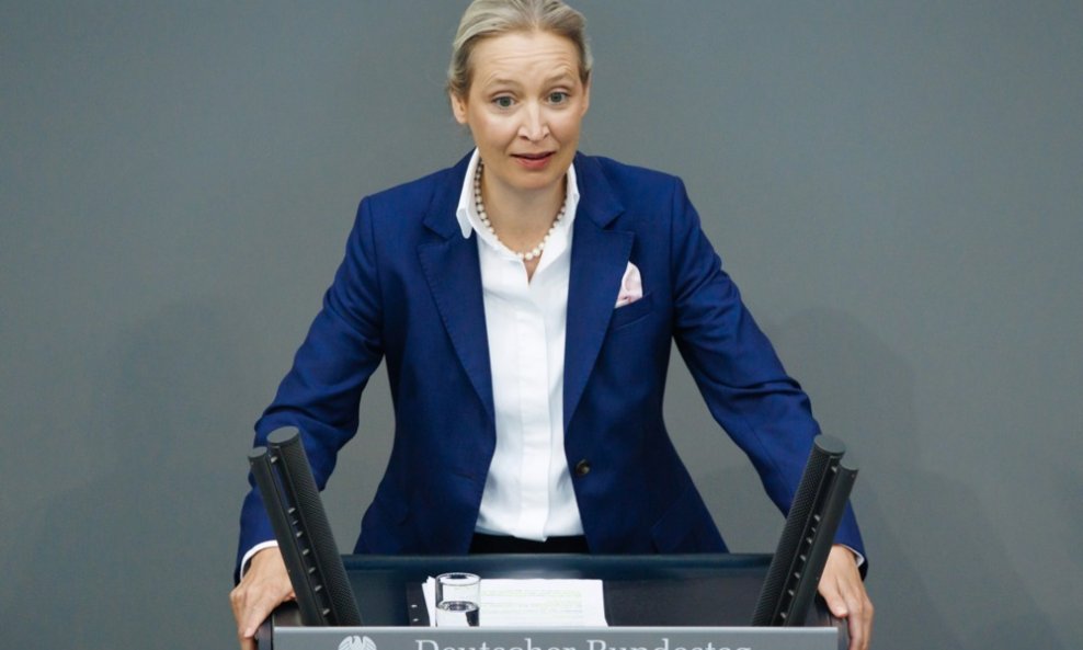 Alice Weidel, AFD