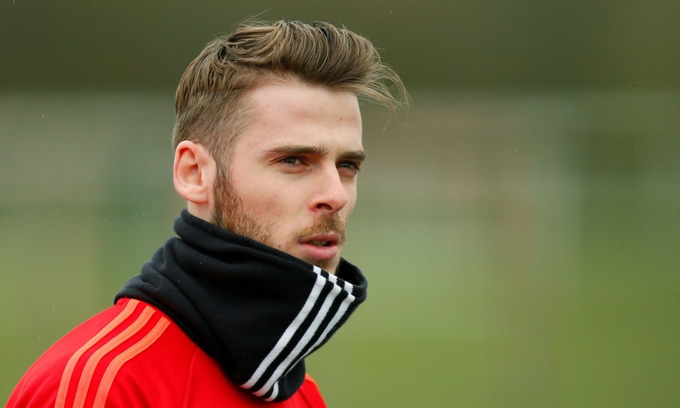 David de Gea (2)